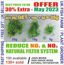 java moss high grade live carpet plants