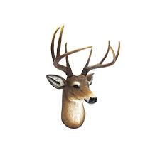 wall mount deer head 8 point buck