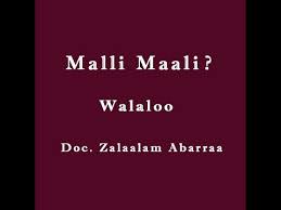 Walaloo malli maalii by zelalem abera mp4 hd video hd9 in : Download Dr Zelalem Abera Tesfa Malli Maali 3gp Mp4 Codedfilm