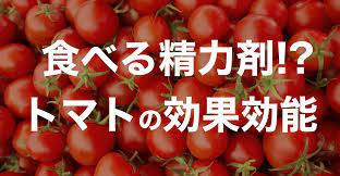 トマトが食べる精力剤と呼ばれる理由と男性にうれしい5つの効果【栄養士が教える】 | STERON