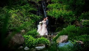 anderson gardens to host wedding