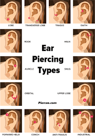 Ear piercings are the most popular type of body piercing worldwide, and in the us alone, it's estimated that over 80% of the population have got their earlobe pierced. Ear Piercing Chart 17 Types Explained Pain Level Price Photo