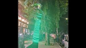 pune experts warn of artificial lights