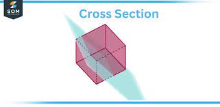 cross section definition meaning
