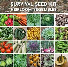 survival organic heirloom vegetable