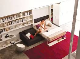 Diy Wall Bed Sofa Cabinet Shelf Combo