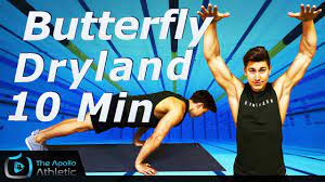dryland workout for erfly swimmers