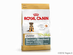 Alimento Per Cani German Shepherd Junior 12 2kg Omaggio