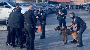 Use of any animal health product should adhere to the manufacturer's label, and the customer should be guided. Santa Cruz Police On Twitter Tactical Team Training With K 9 Team Arsen Action Drills Prepare The Team For Real Scenarios Officers And K9 Encounter On Patrol Training Is The Key To