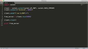 python socket programming demo you