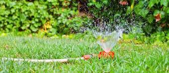 Summer Lawn Watering Tips For New