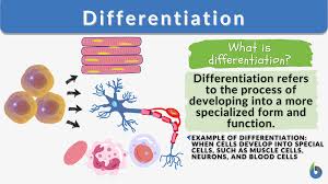diffeiation definition and