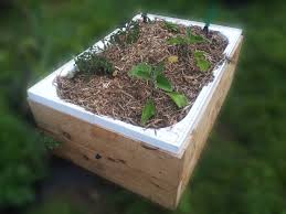 Wicking Beds Libertas Food Gardens