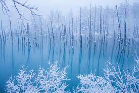 冬にしか見られない絶景！白い雪とのコントラストが美しい美瑛町の青い池｜特集｜【公式】北海道の観光・旅行情報サイト HOKKAIDO LOVE!