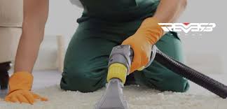 is carpet cleaning a good business