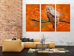 Owl Wall Art Owl Canvas Hanging Art