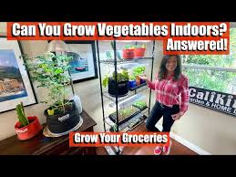 Can You Grow Vegetables Indoors