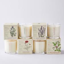 Kobo Candles Plant The Box Scented Candles Herb Garden Bundle Set Of 3