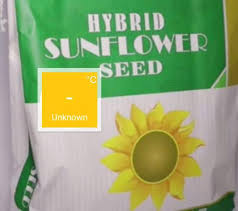 Kebanyakan bunga matahari boleh tumbuh agak tinggi sekitar 6 hingga 15 kaki. Benih Bunga Matahari Hybrida Home Facebook