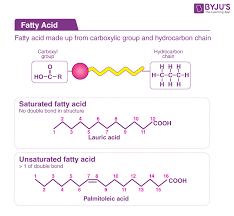 fatty acid groups what are fatty