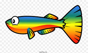 colorful rainbow fish swimming with