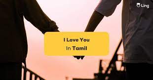 i love you in tamil 1 guide to