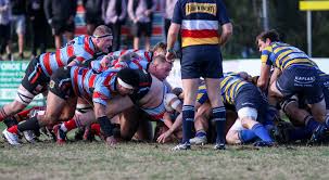 southern districts rugby club