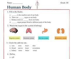 Magnets only attract iron, nickel, and cobalt. Human Body Worksheet Pdf Our Body Class 3 Cbse