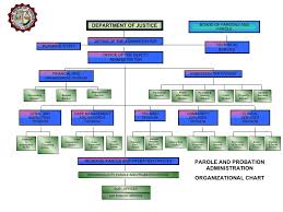 Organizational Chart Presentation