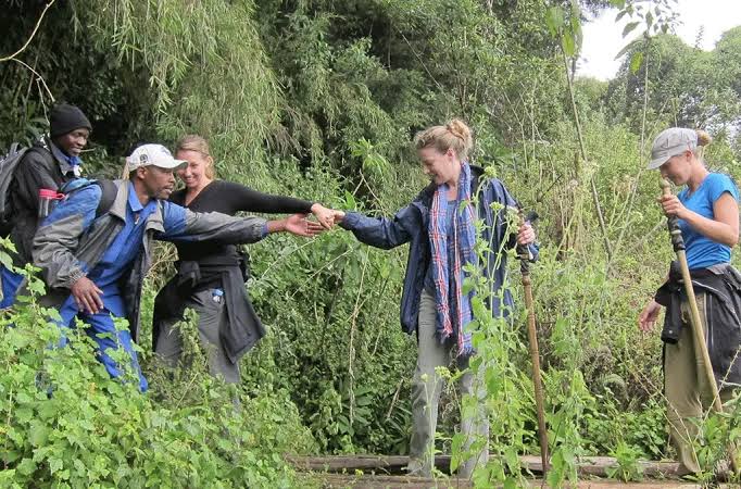 Can You Hire a Porter for Gorilla Trekking in Rwanda? Costs, Tips & Complete Guide