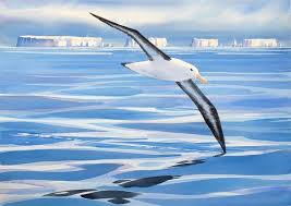 Marine Painting Painting Bird Art