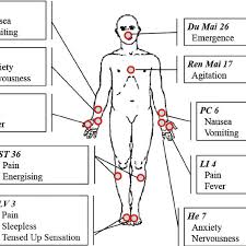 Acupuncture Points Hand Out The Figure Illustrates The