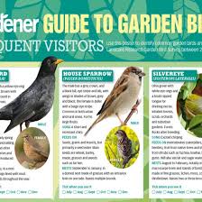 Guide To Garden Birds Poster Nz Gardenernz Free Download
