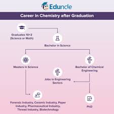 What To Do After B Sc Chemistry Career Options Courses