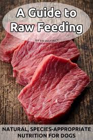 A Guide To Raw Feeding Ebook 3rd Edition K9 Instinct