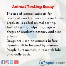 testing essay essay on