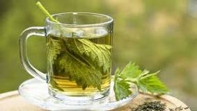 Image result for 3 major effects and side effects of nettle