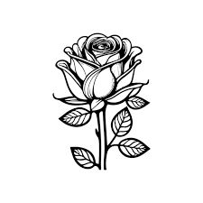 rose flower clipart black white images