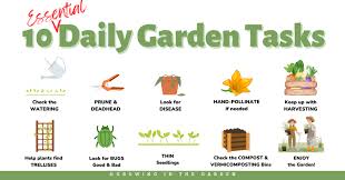 daily garden checklist growing in the