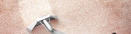 carpet cleaning orlando carpet