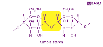 starch diagram structure and features