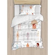 Human Anatomy Twin Size Duvet Cover Set Complete Chart Of Different Organ Body Structures Cell Life Medical Illustration Decorative 2 Piece Bedding