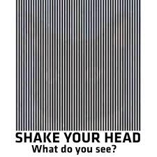 shake your head what do you see