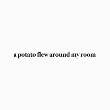 A potato flew around my room. A Potato Flew Around My Room Vine Quote Memes Quotes Pretty Words