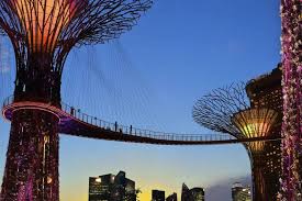 ocbc skyway in gardens by the bay
