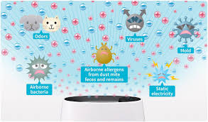 how do air purifiers work 4 things you