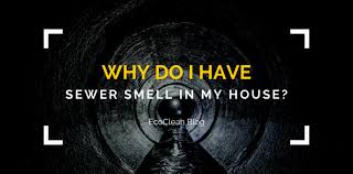 Why Do I Have Sewer Smell In My House