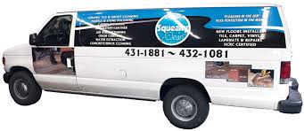 squeaky clean llc carpet cleaning