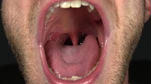 Male mouth - ThisVid.com