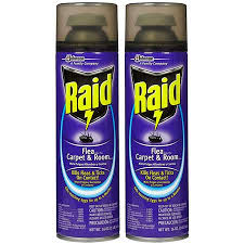 raid flea plus carpet and